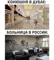 Конюшня в Дубае vs больница в России